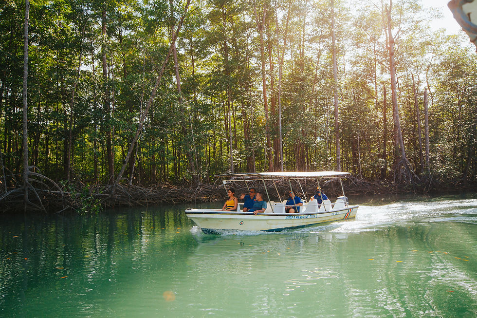 Mangrove Boat - Kayak "Monkey Tour"