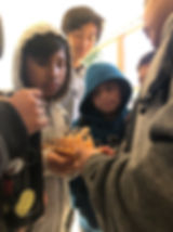 Students study life cycle of salmon