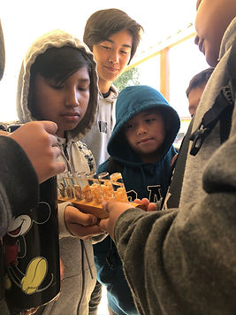 Students study life cycle of salmon