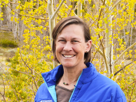 Meet Teri Day, Director of Physical Therapy
