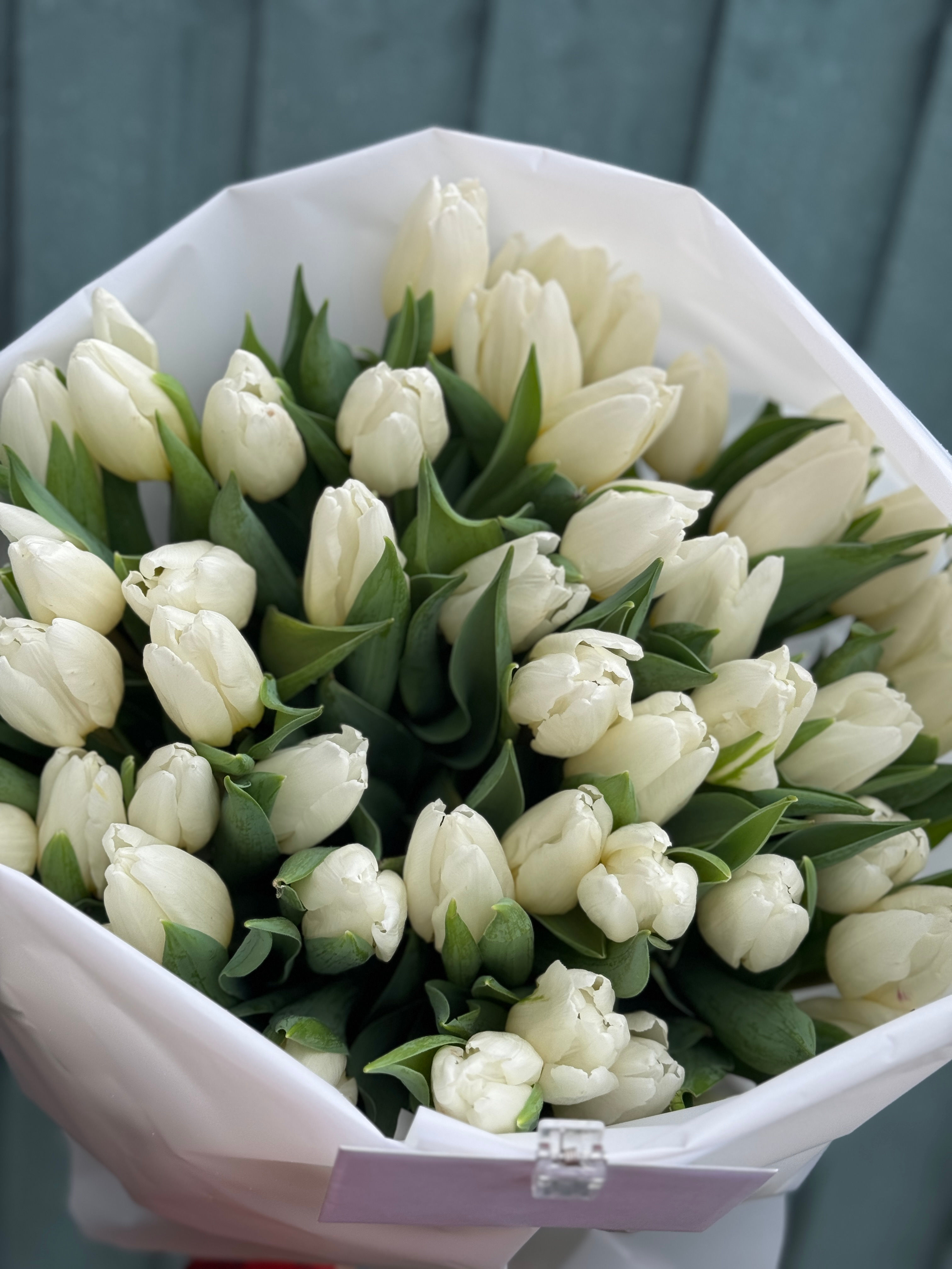White tulips