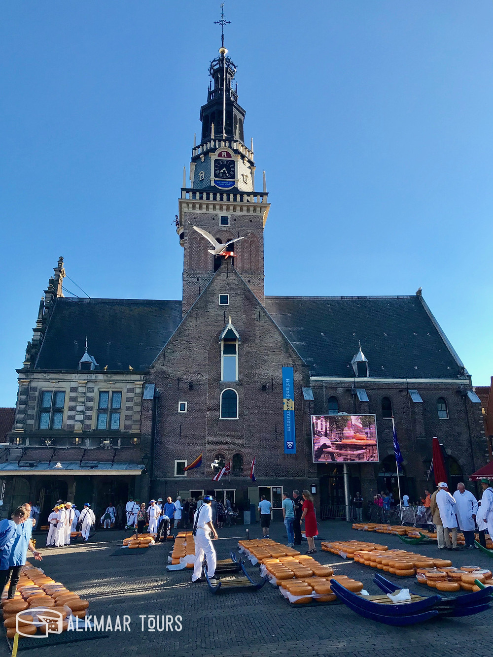 Tuesday Evening Alkmaar Cheese Market