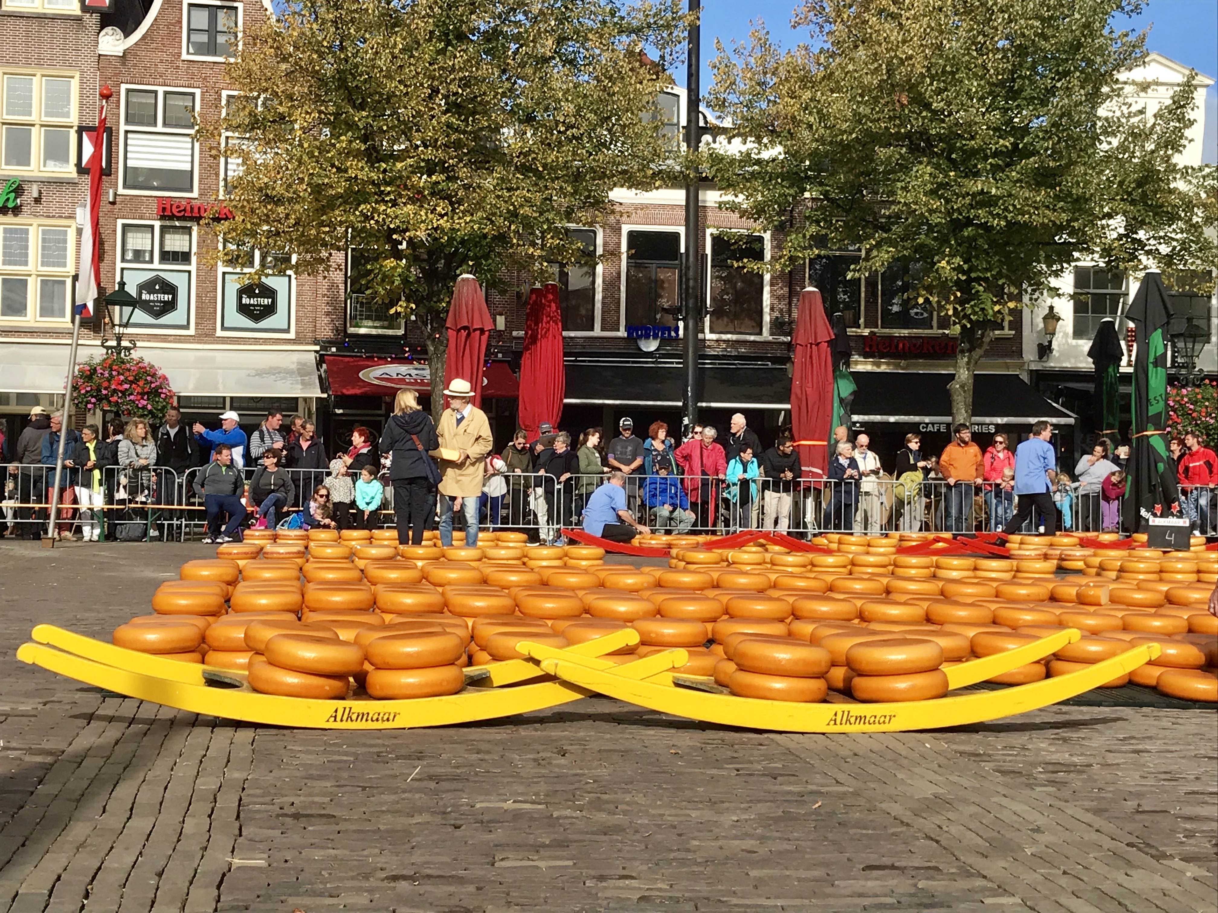 Alkmaar Photos Alkmaar Tours