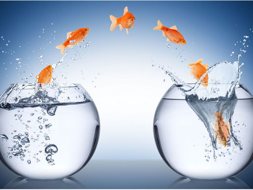 Why You Can't Ignore Change Management Psychology