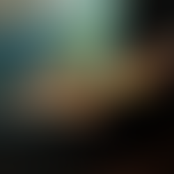 The Assault on the Space Pirates