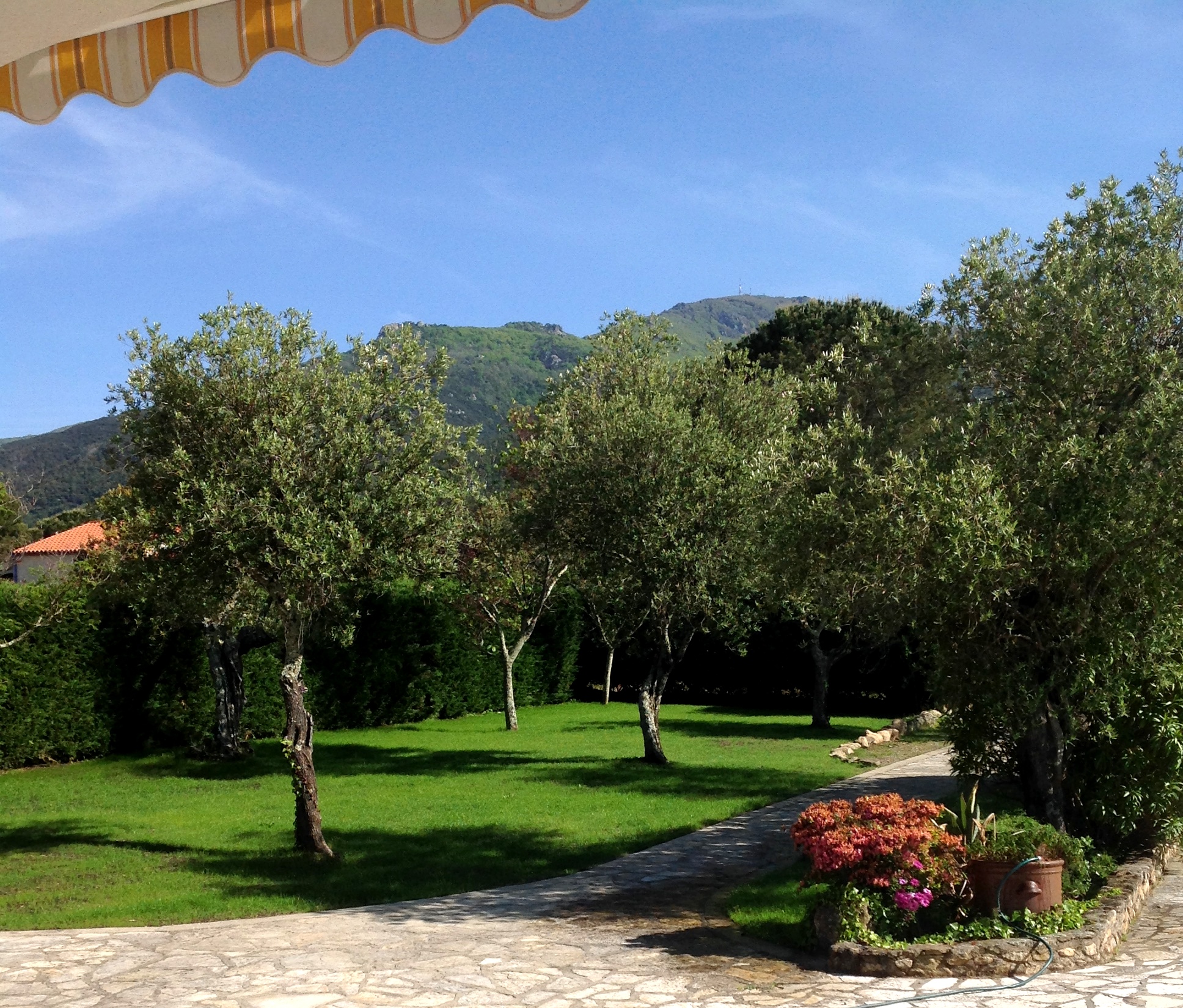 garden1