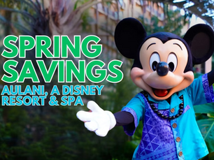 🌺 Ohana. Ocean. Magic. Aloha Awaits You.