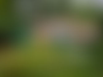 Hollywood Studios - Toy Story Land Overview Update 2020