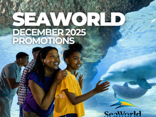 “A family stands inside an underwater viewing tunnel at SeaWorld, smiling as they watch a dolphin swim past the glass. Text on the image reads ‘SeaWorld December 2025 Promotions,’ with the SeaWorld logo in the bottom right corner.”