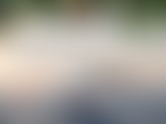 Princess Cruises December 2025 promotions banner featuring a large Princess Cruises ship sailing at sunset on calm ocean water, with warm pastel skies and a distant coastline. Festive holiday ornaments and evergreen branches frame the top of the image. Bold white text highlights cruise deals for December 2025. Holiday-themed cruise marketing graphic for Princess Cruises vacation offers.