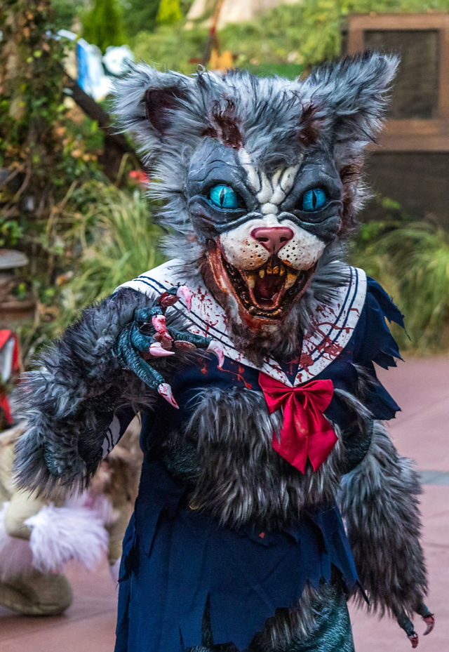 Scare actor dressed as a terrifying cat creature with sharp teeth and distressed costume roaming the streets at Halloween Horror Nights.