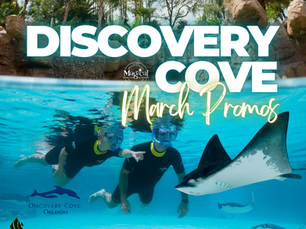 Discovery Cove Orlando March 2026 promotions featuring guests snorkeling with rays in the Grand Reef, highlighting limited-time all-inclusive Discovery Cove ticket savings planned with Orlando theme park expert Brandi Parker.