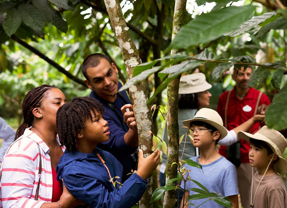 Multi-generational family exploring lush tropical rainforest with Adventures by Disney guide in Costa Rica learning about native cacao tree plants during educational eco-tour creating immersive guided vacation experience in Central America
