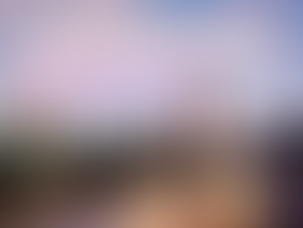 Promotional image for Adventures by Disney featuring London’s iconic skyline at sunset, with Big Ben, the Houses of Parliament, and Westminster Bridge reflected in the River Thames. Large overlay text reads “Adventures by Disney February Promos,” highlighting limited-time guided family adventure offers. The image represents immersive Adventures by Disney itineraries, culturally rich guided travel experiences, and expertly planned Disney-led vacations curated by Brandi Parker of Magical Moments Vacations.