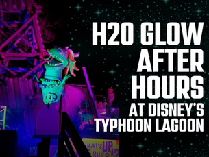 💦 Glow Slides, Mickey Bars & Moonlight Magic