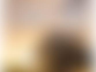 🚀 Why Choose Between Thrills or Chill… When You Can Have Both? 🌴⚡