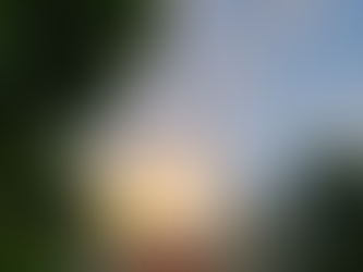 Every Reason All Jurassic World Fans Should Visit Universal Orlando Resort