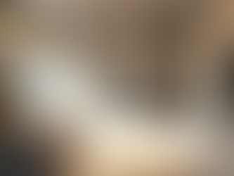 Best Home Remodeling Practices: Superior Home Remodeling Characteristics