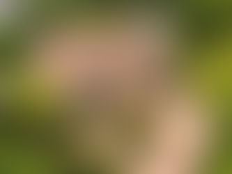 The Impact of Drone Videography on Real Estate Marketing in Chicago