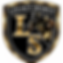 Youth Wide Receiver Training (4 sessions)