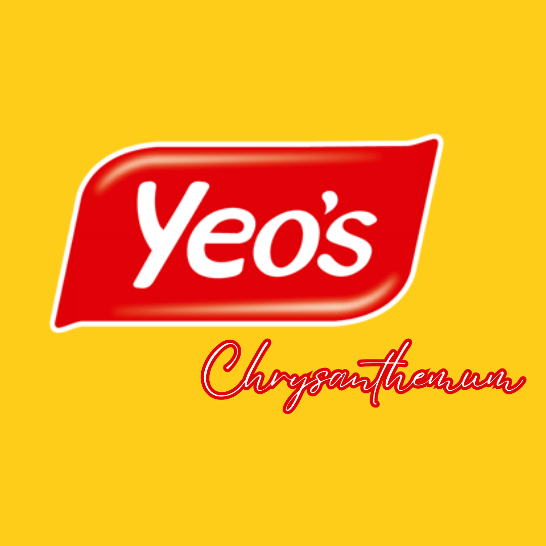 Refreshing Chrysanthemum Tea