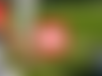Youtube Golf Video