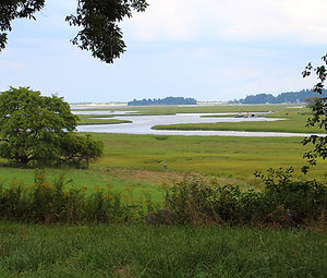 Greenbelt - Allyn Cox Reservation in Essex, MA