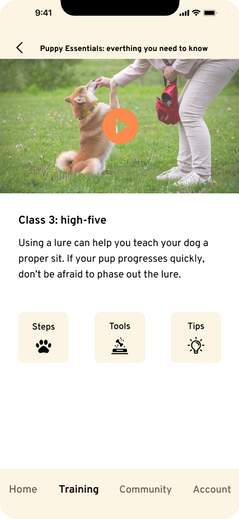 Training video example.png