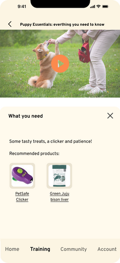 Training video example (2).png