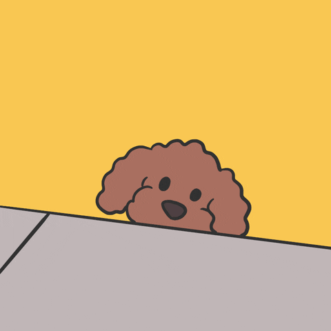 5875cd2e570be199d0a3c72219824931.gif