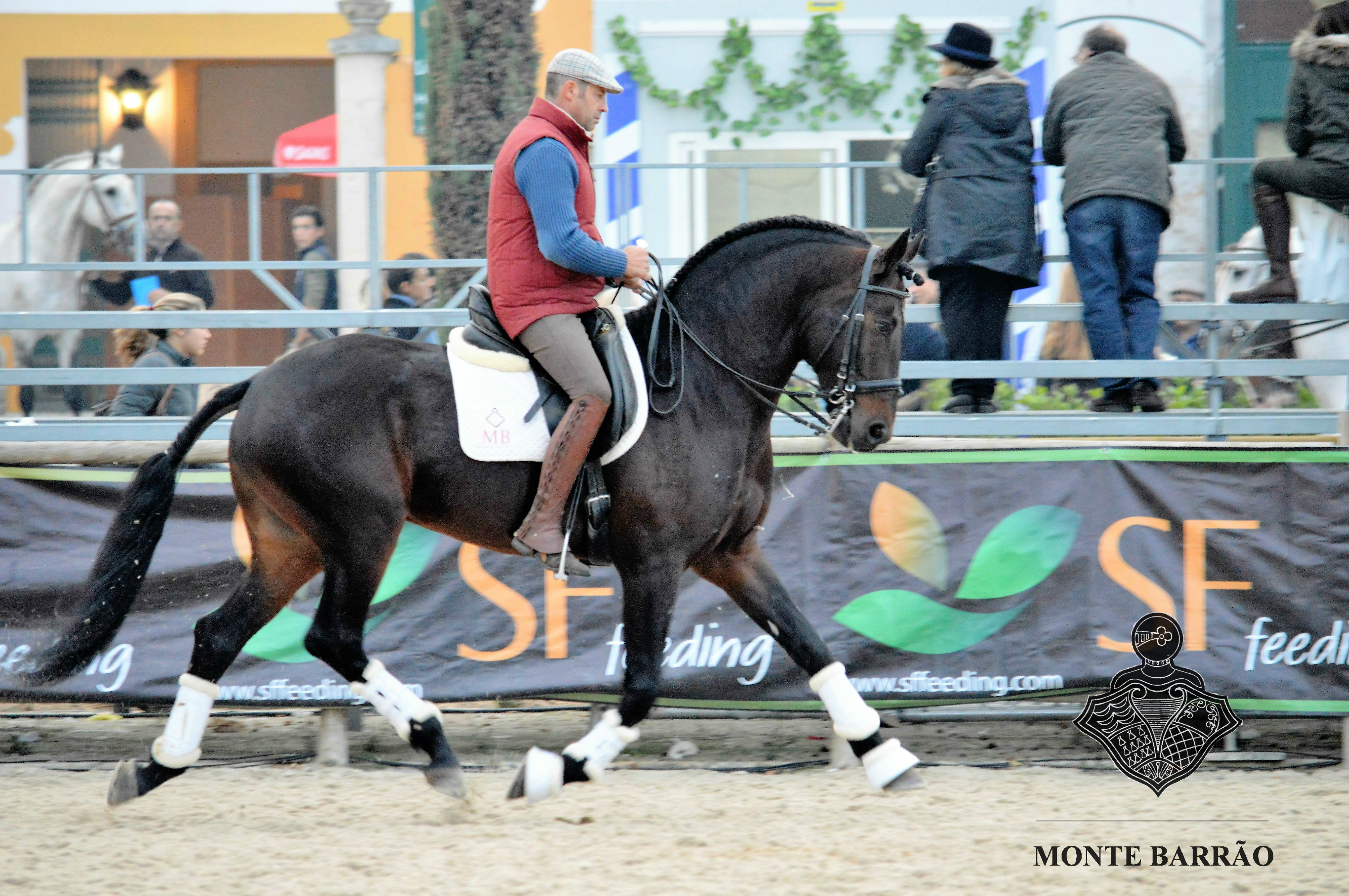 Golias AMB 2016