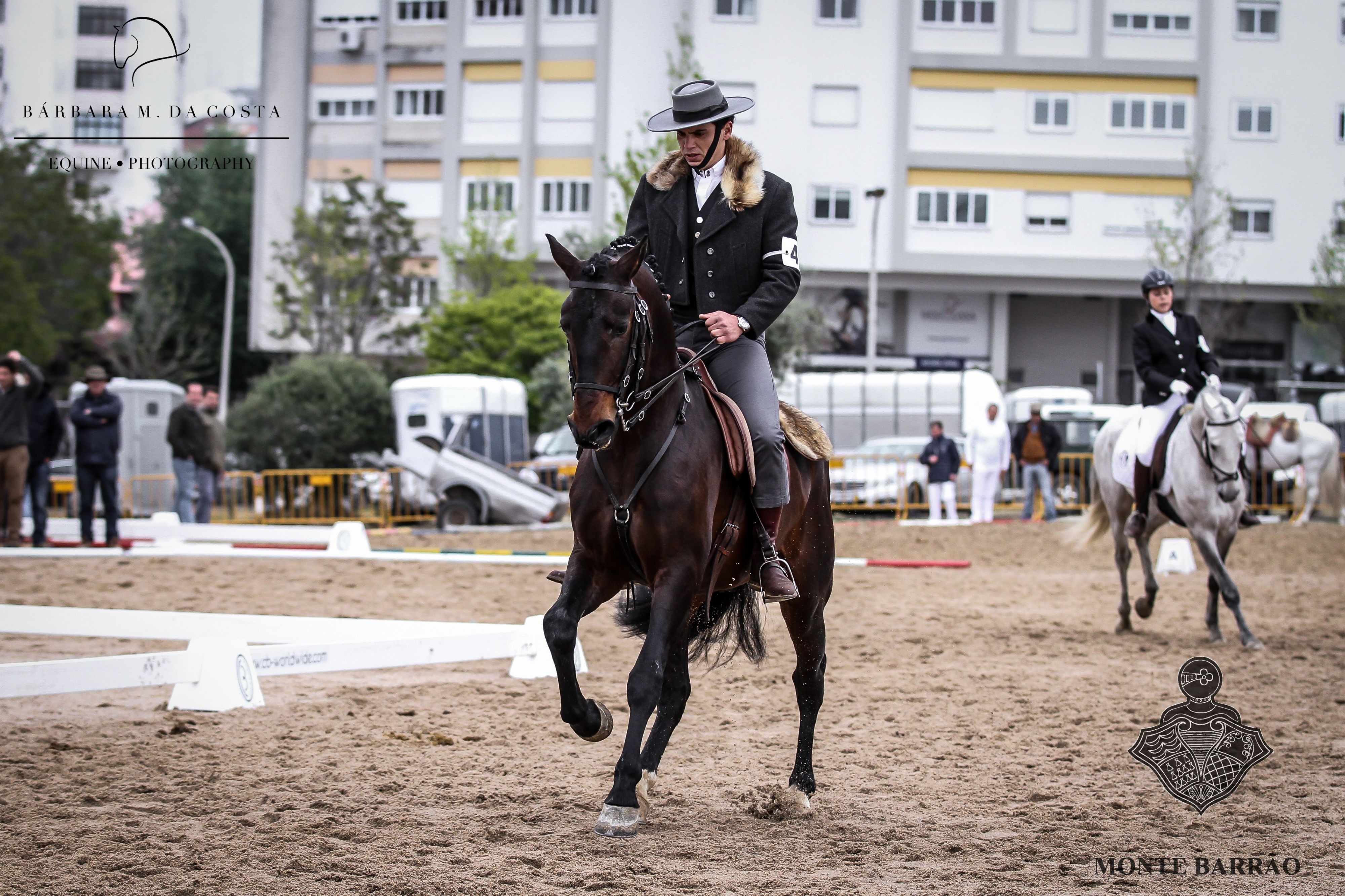 Lince AMB 2019