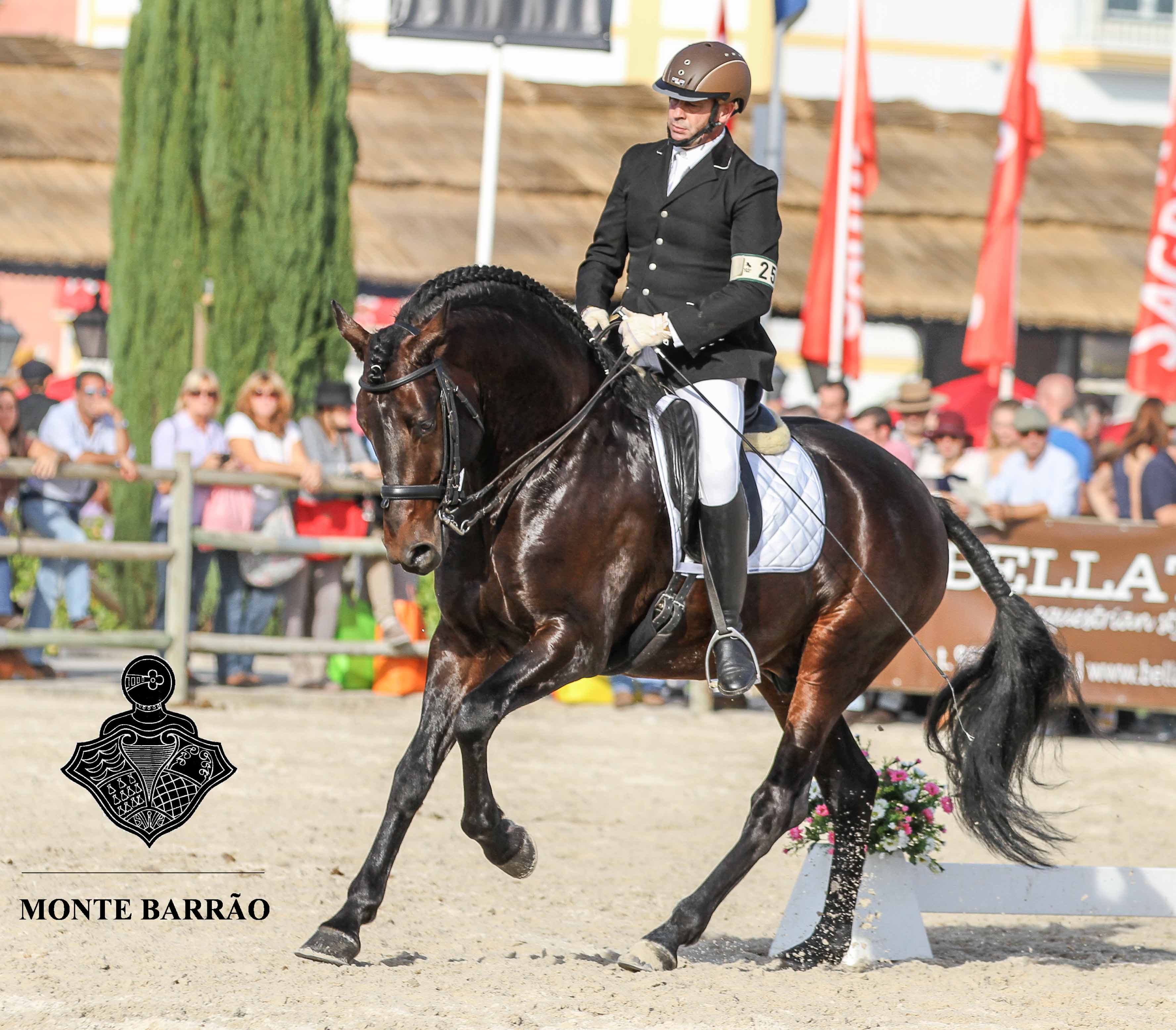 Golias AMB 2015