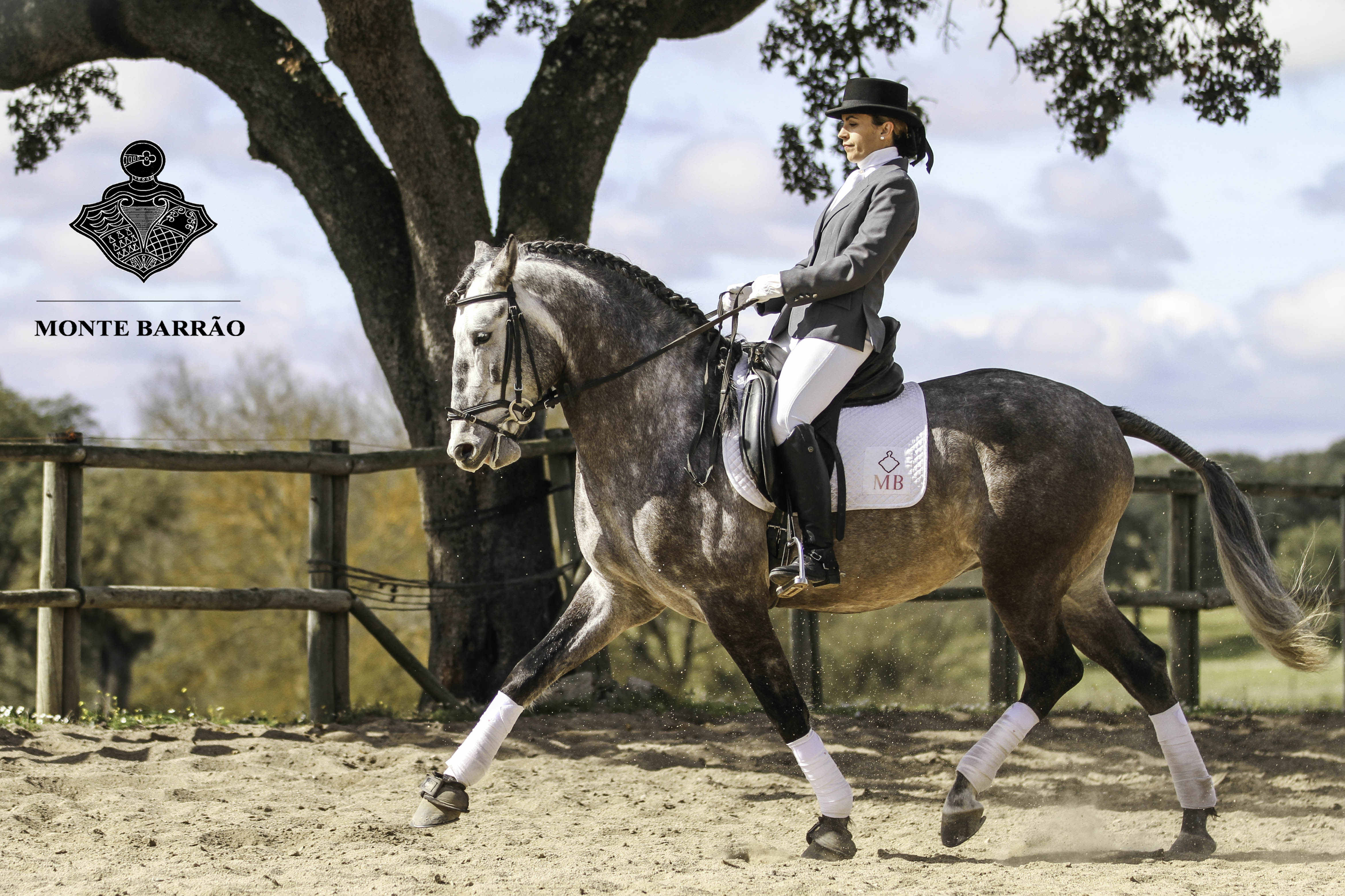 Fogo AMB 2015