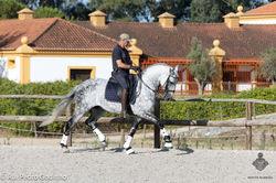 Larapio AMB 2024