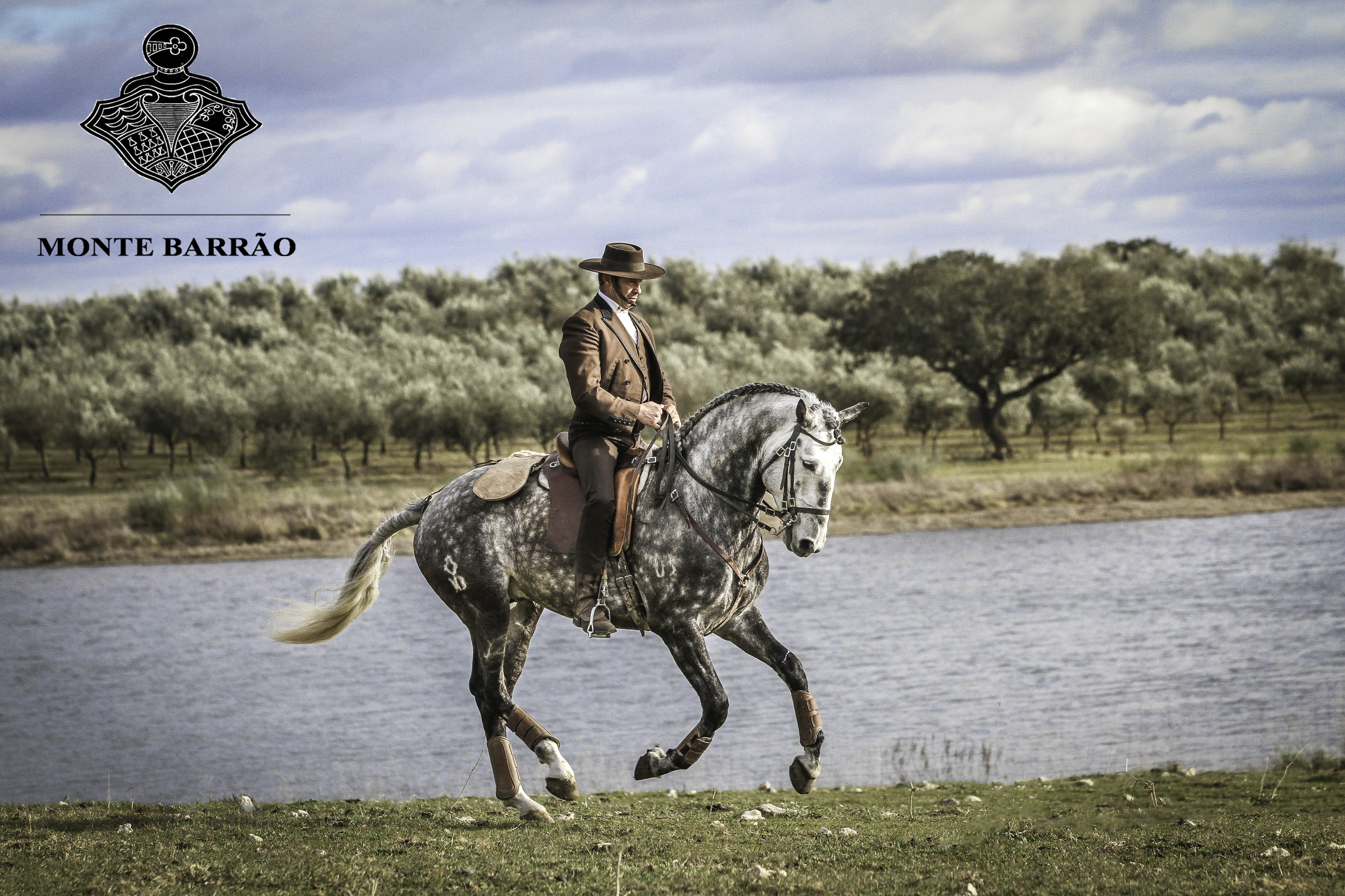 Fiel AMB 2015