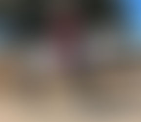 Real is a Lusitano of noble expression and classic elegance. Correctly built with elasticity and natural presence, he combines beauty with a willing and intelligent temperament. A versatile horse with strong foundations, suitable for sport, tradition, or refined leisure riding.