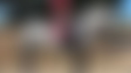 Real is a Lusitano of noble expression and classic elegance. Correctly built with elasticity and natural presence, he combines beauty with a willing and intelligent temperament. A versatile horse with strong foundations, suitable for sport, tradition, or refined leisure riding.