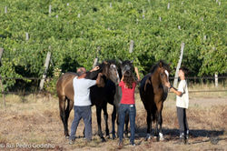 Santo, Sonho & Sol AMB 2024