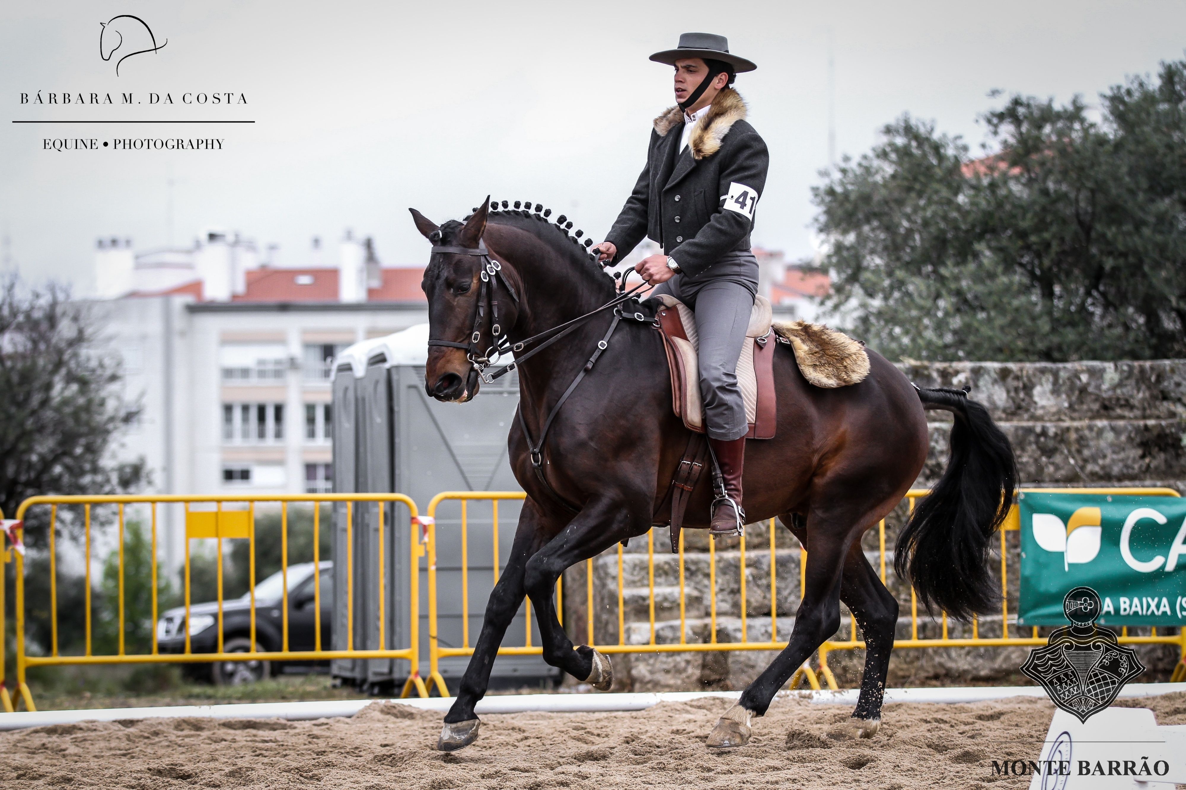 Lince AMB 2019