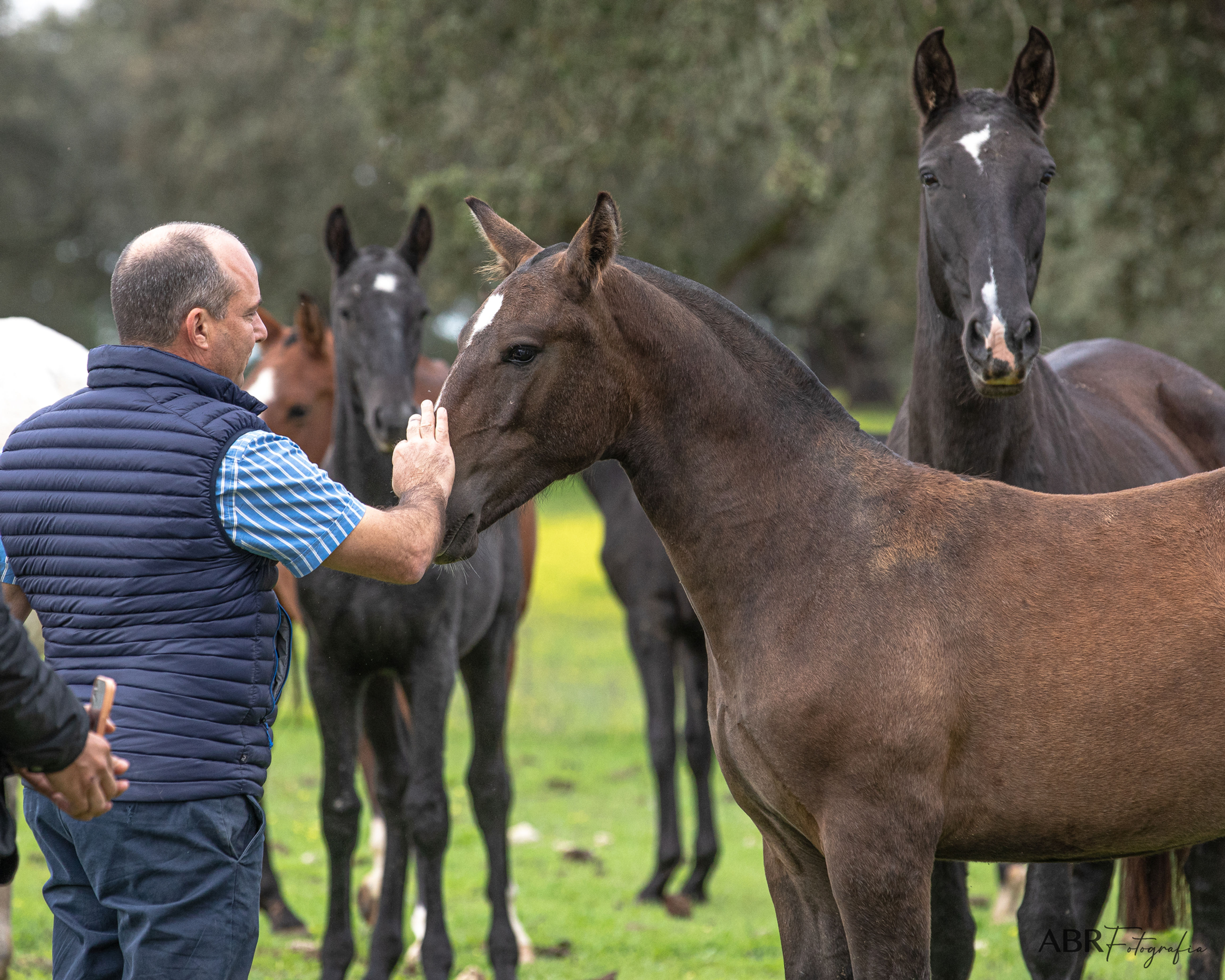 Experience the calm of the countryside with horses by your side.
