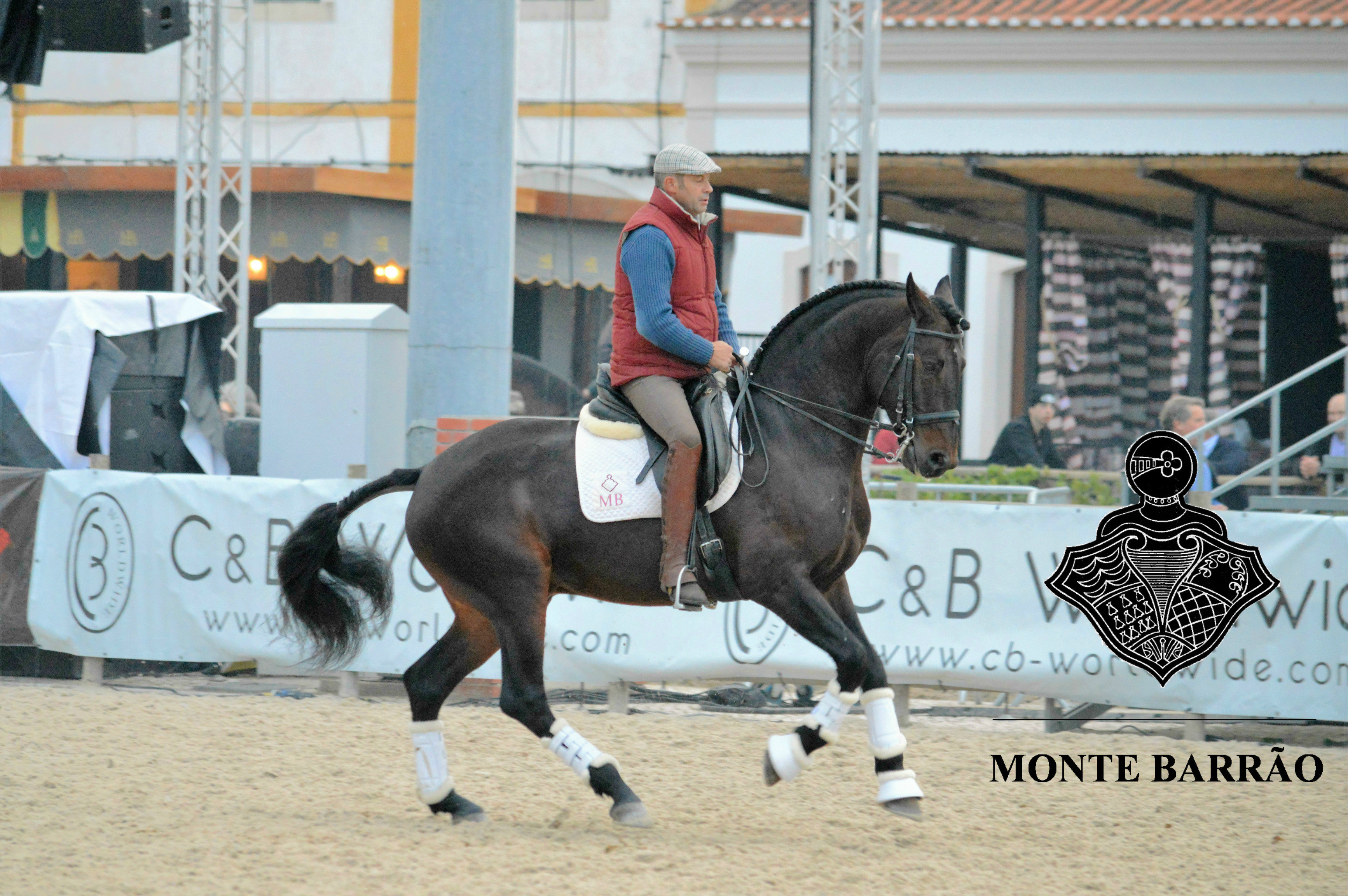 Golias AMB 2016