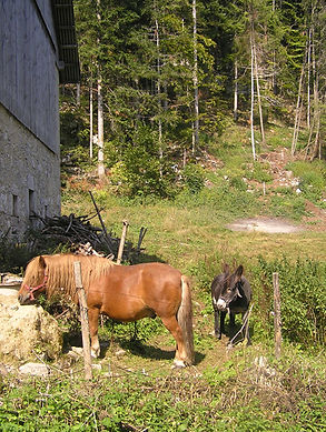 P9080001.JPG