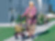 rollator