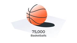 1 Ton Co2 -Basketball