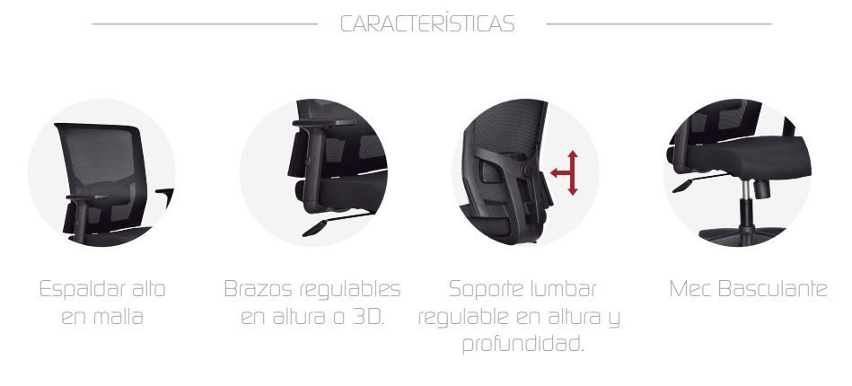 Miniatura: Silla Gerente Basculante + Apoyo Lumbar Ergonómico "DELPHI II" Base Aluminio