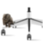 Miniatura: Base o Araña Aluminio Pulido tipo Europa para silla Giratoria