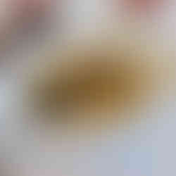 Gluten-free fish entree at Ristorante Giglio in Lucca, Italy