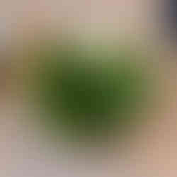 Edamame from Miku in Vancouver