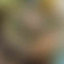 GLuten-free vegetables and sweet potato in chicken broth